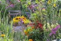Trug with harvested edible flowers and herbs including Echinacea, helianthus, Monarda, fennel and Calendula next to a bed with Tagetes patula, Zinnia, Verbena bonariensis and Antirrhinum majus.