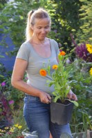 A woman is holding potted Calendula officinalis - pot marigolds ready for planting.