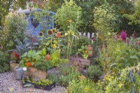 Kitchen garden with raised beds full of growing crops in companion with annual and perennial flowers to attract beneficial wildlife.
