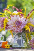 Pink Dahlias, Solidago and Amaranthus in a glass vase.