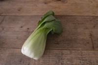 Pak choi Brassica rapa subsp. chinensis on wooden background
