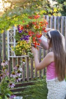 A girl is watering the vertical containers of balcony flowers including Surfinia, Scaevola and Begonia.