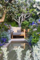 View across the water feature to secluded seating area with armchair  by architectural fig Ficus carica. Hamptons Mediterranean Garden, Designer: Filippo Dester Garden Club London, RHS Chelsea Flower Show 2023