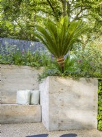 Inbuilt seating made from hypertufa, resembling natural stone by raised bed with Alliums and Cycas revoluta. The Shifting Garden, Designer: The Chelsea Gardener, RHS Chelsea Flower Show 2023