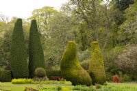 Taxus baccata - Yew tree sculptures in Cawdor Castle Gardens.