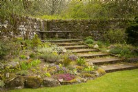 Spring flowers in a rock garden around stone steps bordered by a stone wall at Cawdor Castle Gardens.