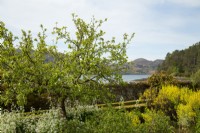 The walled garden in spring looking out to Loch Ewe from Inverewe Garden.