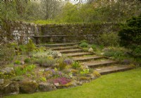 Phlox subulata - moss phox, Primulas and Pulsatilla in a rock garden next to stone steps in the  Cawdor Castle Gardens.