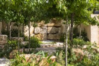 View to waterfall over rocks and wooden walkway under Populus tremula - America's Wild - designers, Emily Grayshaw, Imogen Perreau Callf and Jude Yeo - Inspired Earth Design - RHS Hampton Court Palace Garden Festival