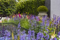 A colourful perennial bed planted with Nepeta and Salvia surrounds the water feature. A large ceramic pot with a yew ball in the background.  Designer: Kevin Dennis, Bord Bia Bloom 2023