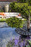 Cloud pruned yew tree placed in the middle of a water feature in a modern garden. Tree container filled with black stones. Designer: Kevin Dennis, Bord Bia Bloom 2023