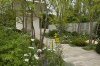 RHS Chelsea Flower Show 2023 - Pathway through borders  featuring perennial planting amongst Gleditsia trees  -  Memoria  and  GreenAcres Transcendence Garden designed by Gavin McWilliam and Andrew Wilson Silver-gilt