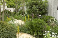 RHS Chelsea Flower Show 2023 - Beds featuring perennial planting - Memoria  and  GreenAcres Transcendence Garden designed by Gavin McWilliam and Andrew Wilson Silver-gilt