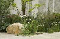 RHS Chelsea Flower Show 2023 - Border  featuring perennial planting - Memoria  and  GreenAcres Transcendence Garden designed by Gavin McWilliam and Andrew Wilson Silver-gilt