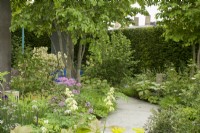 RHS Chelsea Flower Show 2023 - Mixed borders in the  The National Brain Appeal's Rare Space designed by Charlie Hawkes