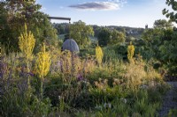 The steam bent oak 'egg' seat from Chelsea Flower Show 2021 takes centre stage in the dry garden, amongst the Verbascum olympicum and other perennials at Holt Farm Gardens, Somerset