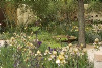 RHS Chelsea Flower Show 2023 The Nurture Landscapes Garden designed by Sarah Price. In the foreground a bed of Iris
Benton Olive and Benton Susan
