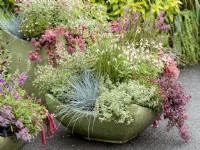 Shallow planter of mixed perennials including pale pink-flowered Salvia and Nepeta with blue grass foliage of Festuca and cascading sedum, autumn October