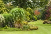 View across the lawn to curved border with Miscanthus giganteus. 