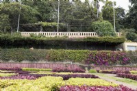 Looking across the quilt garden, a series of contrasting coloured clipped hedges to viewing areas in the Madeira Botanical Gardens. Summer. 