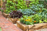 Vegetables in raised beds, Cucurbita pepo, Lactuca sativa, Ocimum basilicum, Brassica oleracea, Phaseolus vulgaris 