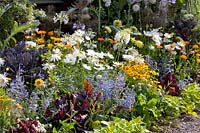 Annuals, herbs and vegetables in the bed 