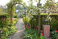Path to the vegetable garden 