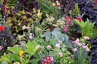 Annuals, vegetables and herbs 