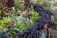 Annuals, vegetables and herbs 