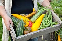 Woman holding basket of freshly harvested vegetables 