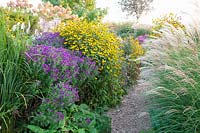 Coneflower and Chinese silver grass, Rudbeckia triloba, Miscanthus sinensis, Aster 