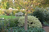 Seating area in front of hedge in autumn 