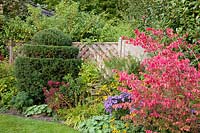 Bed in autumn with spindle bush 