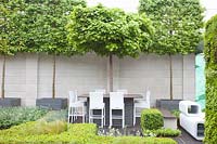 Modern roof garden with potted trees, Acer campestre, Acer platanoides Globosum, Buxus, Geranium 