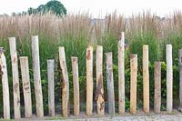 Fence made of tree trunks 