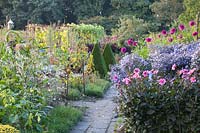 Vegetable garden with Dahlia HS Juliet, Dahlia Deborah Renee, Aster Little Carlow, Buxus 