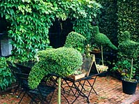 Terrace with topiary 
