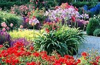 Garden with perennials, roses and ornamental lilies 