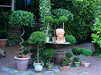 Terrace with potted plants 
