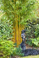 Bamboo in the garden 