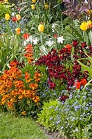 Bed with annuals, perennials and bulbous plants 
