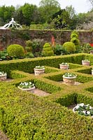 Garden with topiary 
