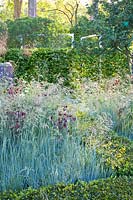 Grasses and columbines 