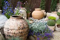 Mediterranean pot garden 