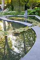 Modern water garden 