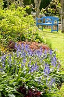 Garden with bluebells 
