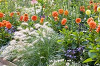 Bed with dahlias, grasses and annuals 