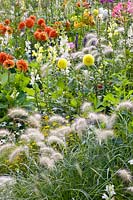 Bed with dahlias, grasses and annuals 