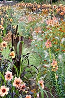 Dahlias and annuals 