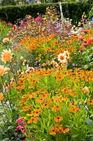 Perennial bed in July 